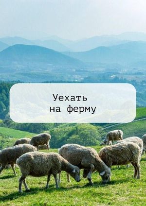 Остановка — фото 3