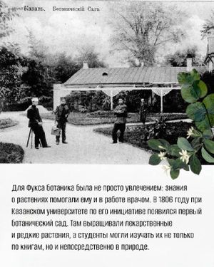 Экскурсия по маршрутам Карла Фукса — фото 3