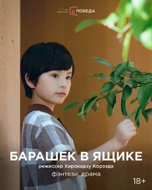 Образ будущего — фото 3