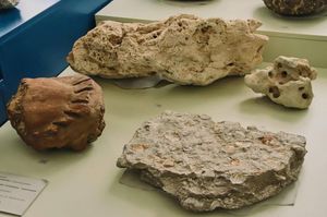 Экскурсия по передвижной выставке «Геологический калейдоскоп» — фото 2