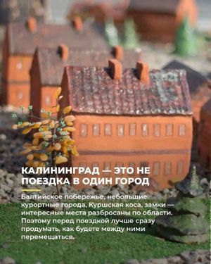 Поездка в Калининград — фото 4