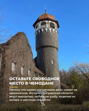 Поездка в Калининград — фото 5