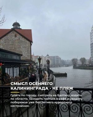 Поездка в Калининград — фото 6