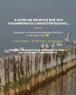 Поездка в Калининград — фото 7