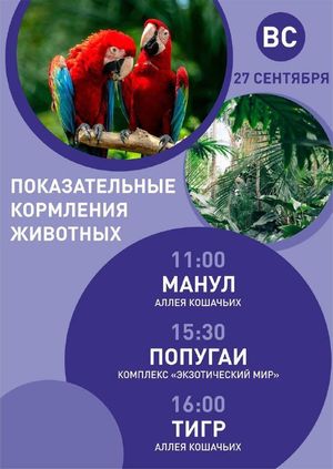 Фестиваль "Рыжее нашествие" — фото 3