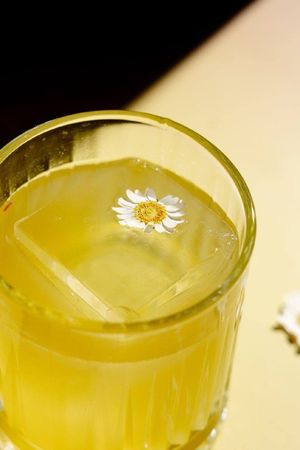 Вечера живой музыки — фото 5