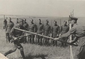 лекция «Добровольцы 1941 года» — фото 4