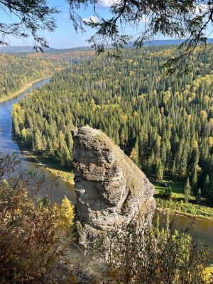 Губаха уникальная — фото 2