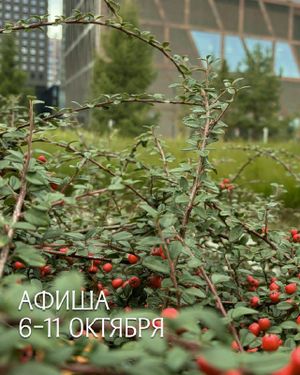 Арт-знакомства — фото 2