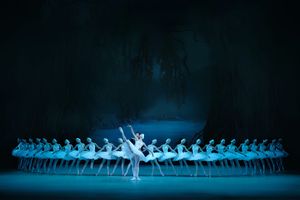 Лебединое озеро — фото 2