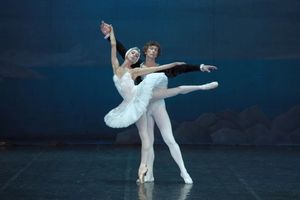 Лебединое озеро — фото 5