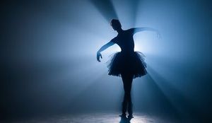 Лебединое озеро — фото 2