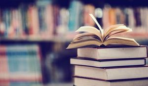 Обсуждаем книгу Айрис Вольф «Проблески» — фото 2