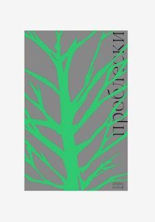 Обсуждаем книгу Айрис Вольф «Проблески» — фото 3