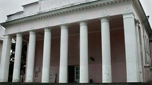 Кошка, которая гуляла, где хотела — фото 3