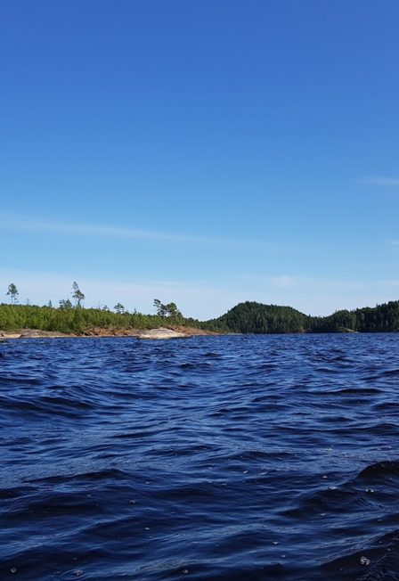 Афиша: Карельская сказка: водопады, хаски, олени, водная прогулка по Ладожским шхерам на катере, знакомство с лютеранской кирхой.