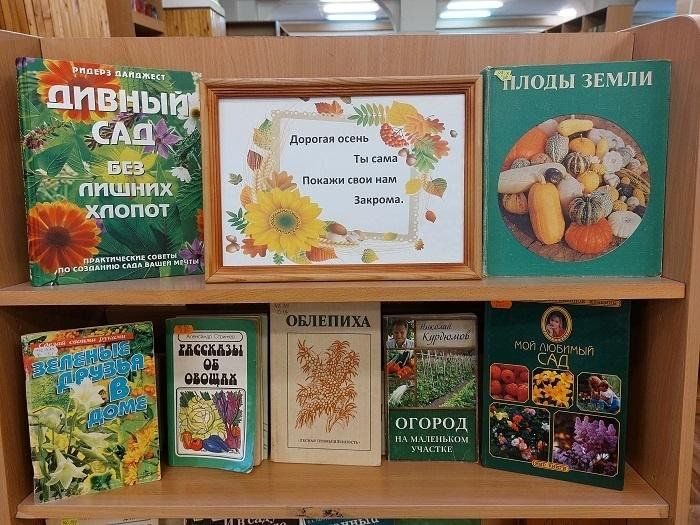 Афиша: Книжная выставка «Дорогая осень, открой свои тайны»