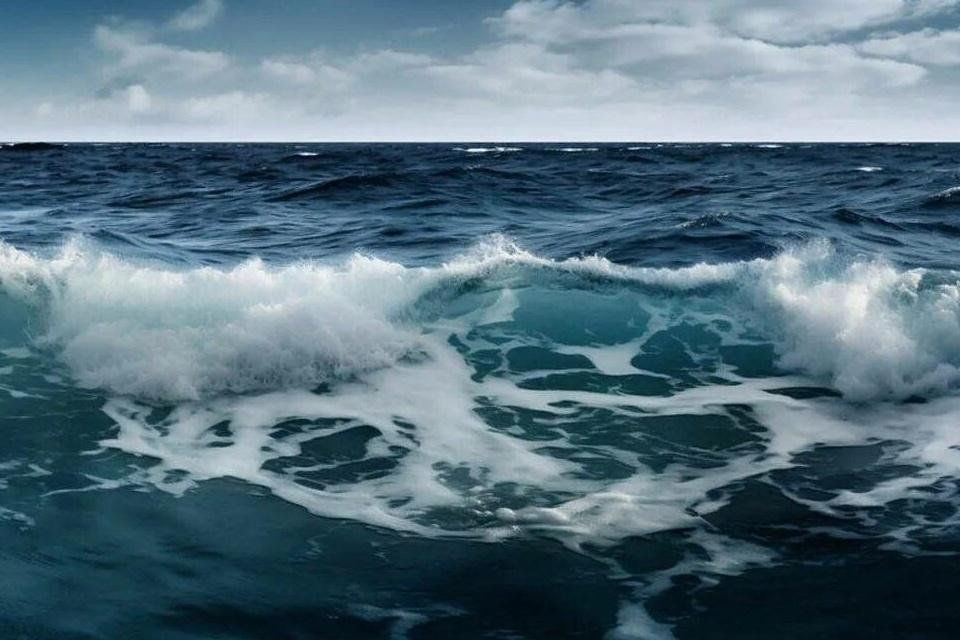 Афиша: «Моря мир необъятный»