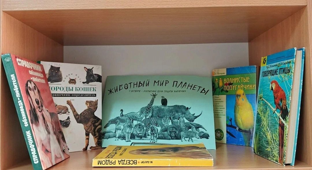 Афиша: Книжная выставка «Животный мир планеты»