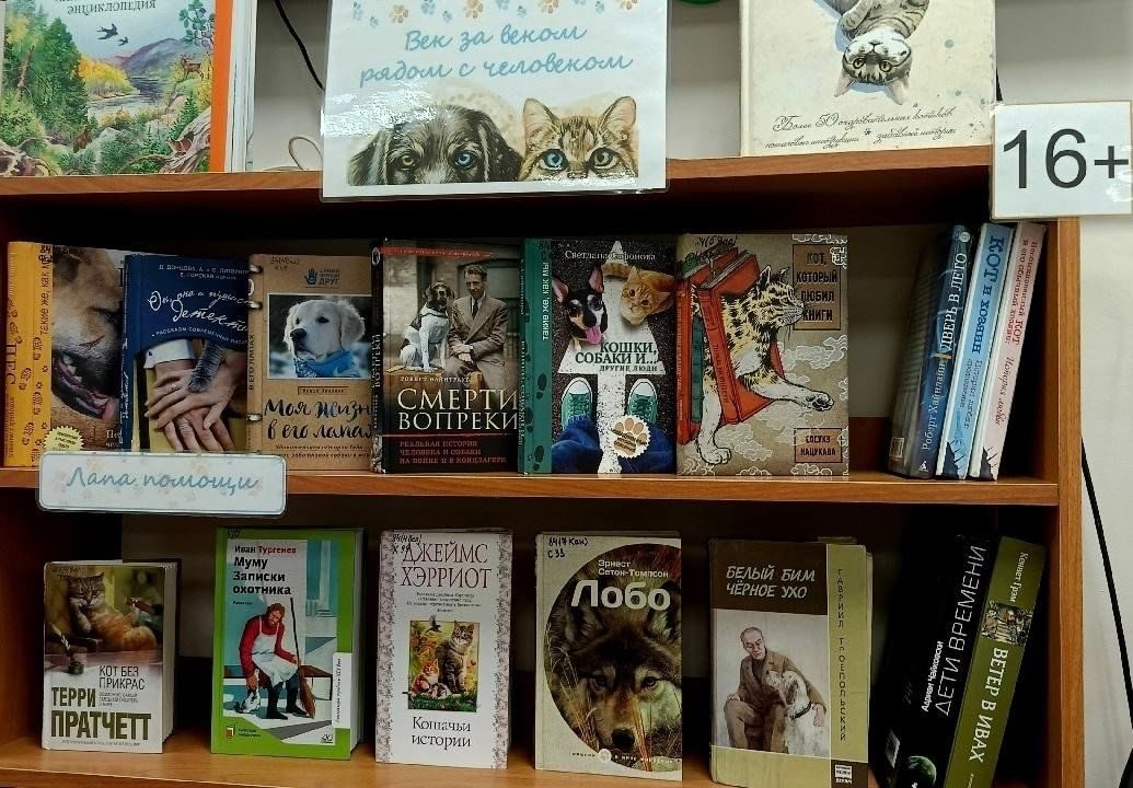 Афиша: Книжная выставка «Век за веком рядом с человеком»