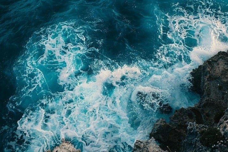 Афиша: «Морские приключения зовут»