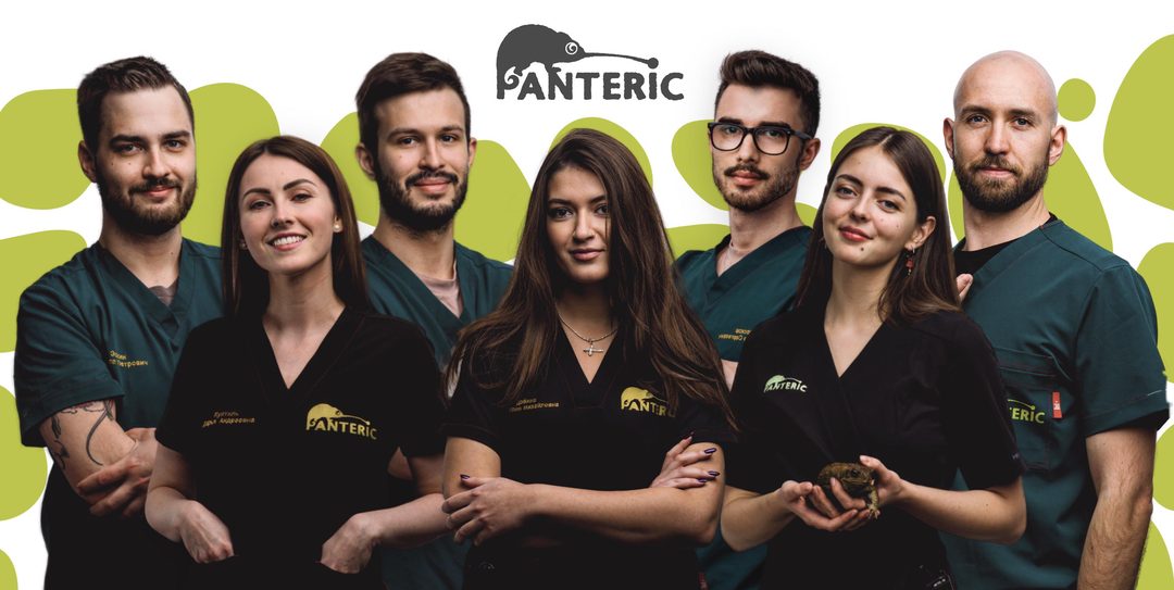 Афиша: VHC-Panteric 2026 профи