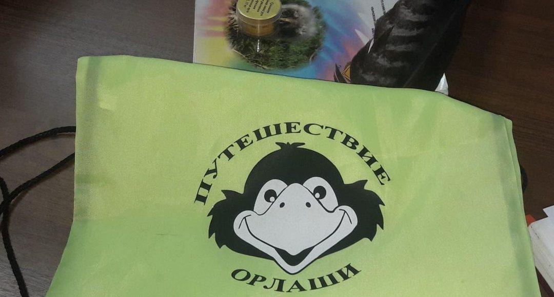 Афиша: Интерактивное занятие «Путешествие Орлаши»