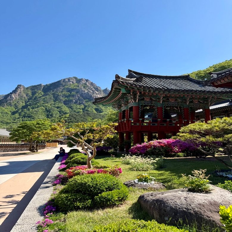 Афиша: Южная Корея. Тренировочный тур с участием в трейле «Mungyeong Legend Trail»