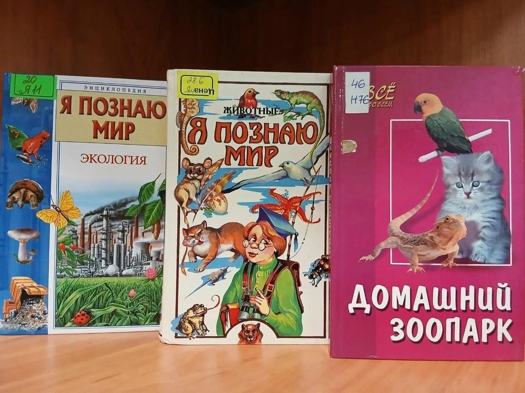 Афиша: Марафон по внедрению экопривычек «Экопривычки и как стать эко-френдли»