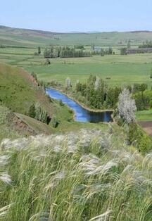 Афиша: Оренбуржье – край неповторимый. Программа