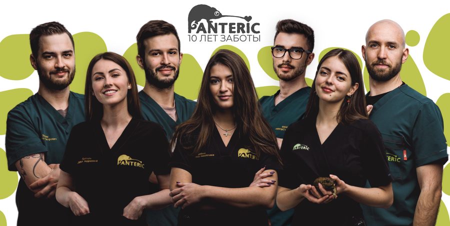 Афиша: VHC-Panteric 2026 киперы