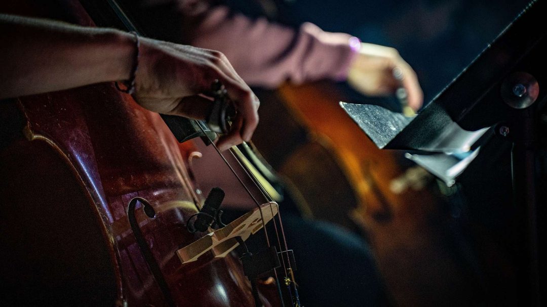 Афиша: Sinteza Orchestra. Караоке с оркестром