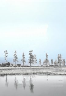 Афиша: На память птицам...