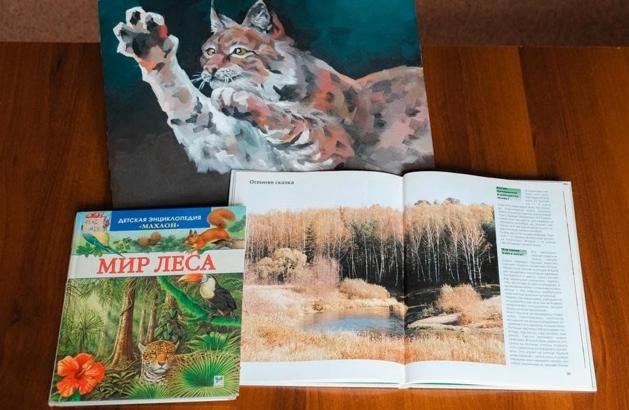 Афиша: Занятие «Лесные животные»