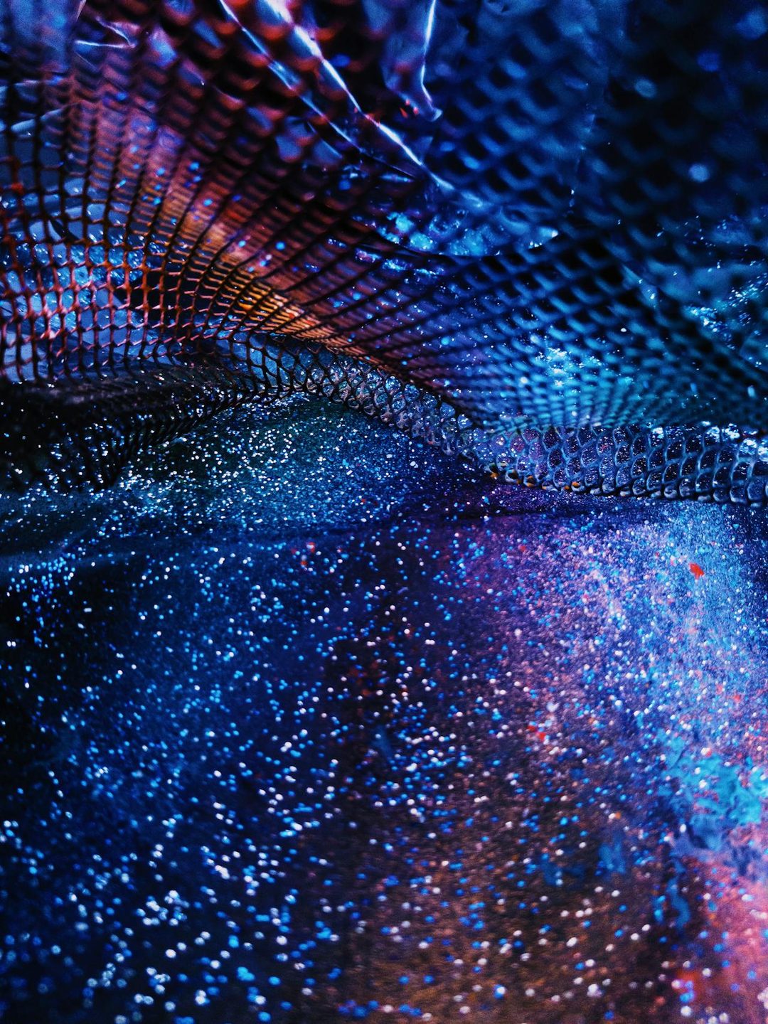 Афиша: Сокровища донских степей (вход в сопровождении экскурсовода)