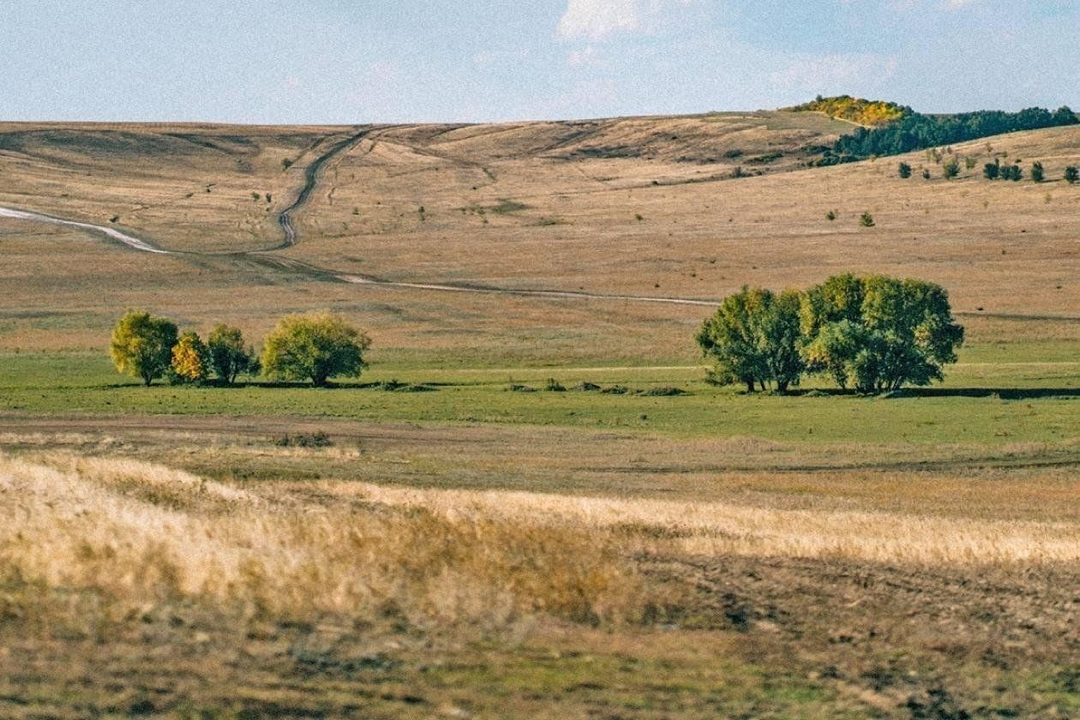 Афиша: Лекция «Оренбургская область: природа и население степного края»
