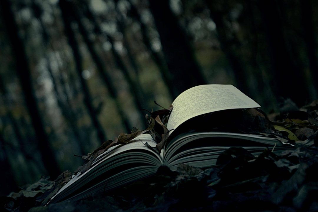 Афиша: Квест «Тайны на страницах книг Стивена Кинга»