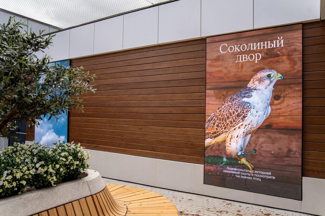 Афиша: Экскурсия «Соколиный двор в Коломенском»