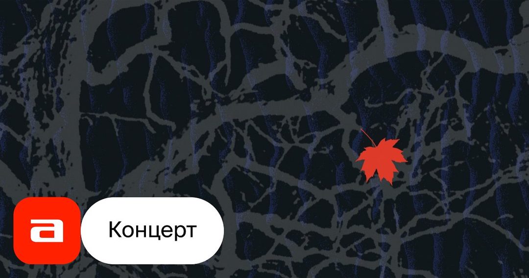 Афиша: Froid Fest