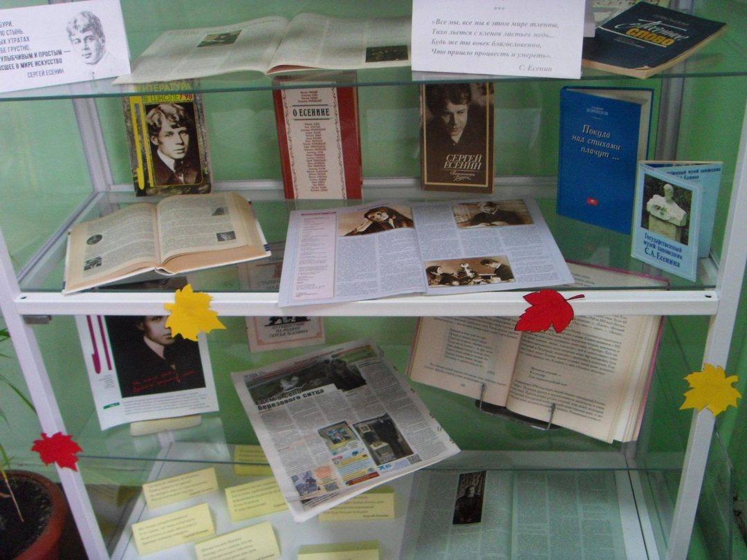 Афиша: Книжная выставка «Коль гореть, так уж гореть сгорая…»