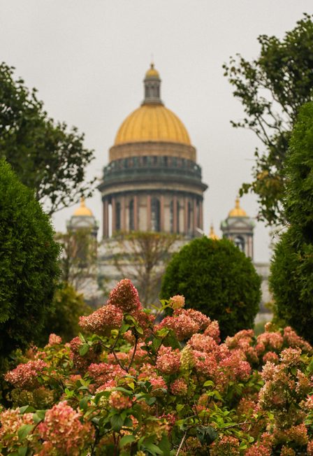 Афиша: Фотопрогулка по центру Петербурга: дворы и парадные, легенды и крыша