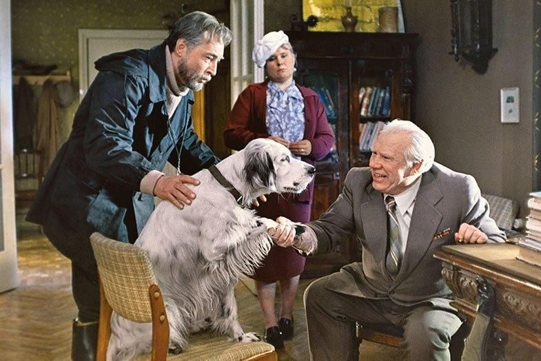 Афиша: Показ фильма «Белый Бим Черное ухо»