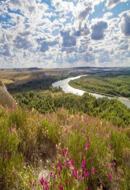 Афиша: Всему начало здесь, в краю родном. Познавательная программа