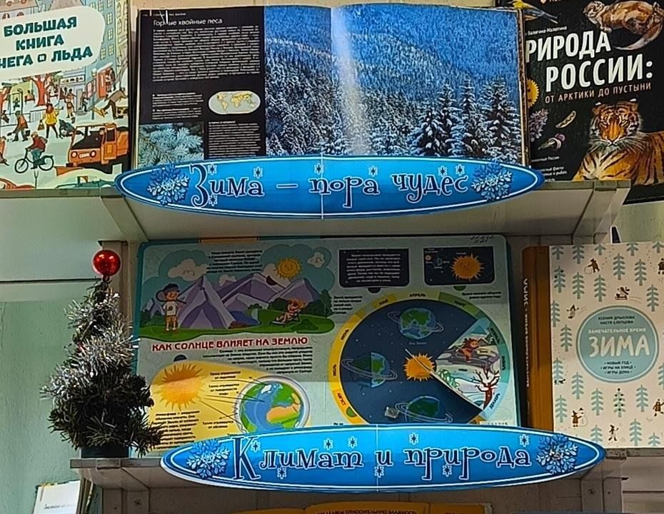 Афиша: Книжная выставка «Люблю тебя, природа, в любое время года»
