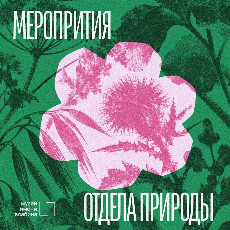 Афиша: Лекция "Ихтиозавры в музее и в природе"