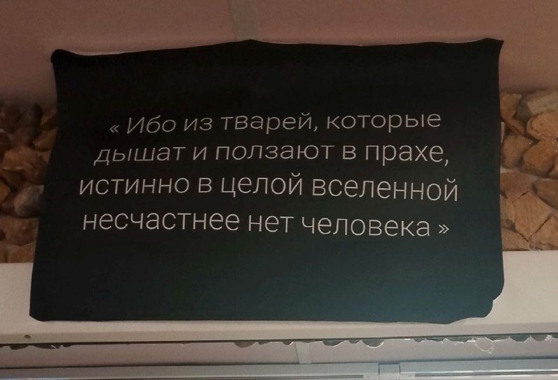 Афиша: Выставка «REDиссея»
