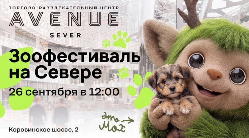 Афиша: Сказочный зоофестиваль «Алиса в Стране чудес»