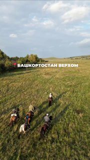 Афиша: Путешествие к горе Яндык верхом на конях