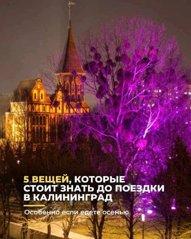 Афиша: Поездка в Калининград