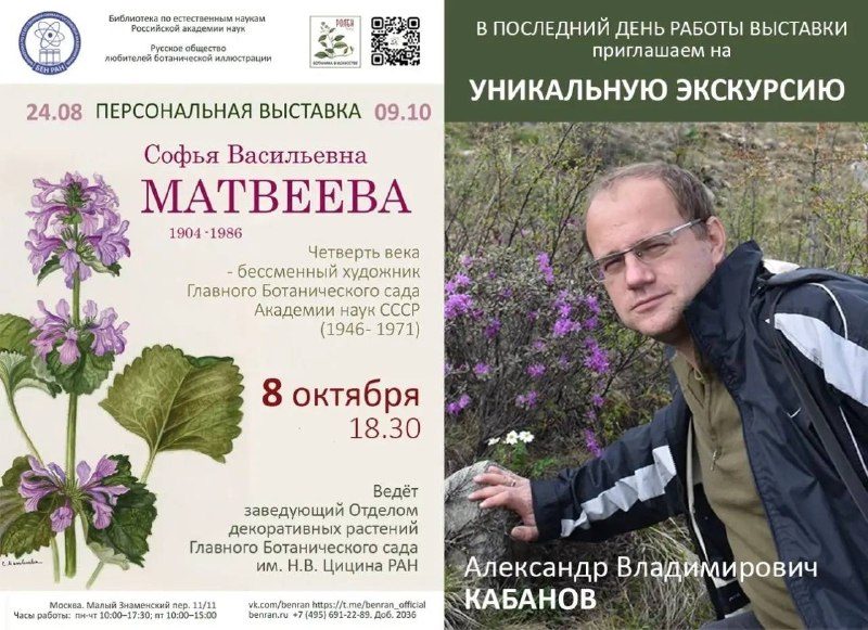 Афиша: Ботанический рисунок с научной точки зрения: экскурсия по выставке Софьи Васильевны Матвеевой